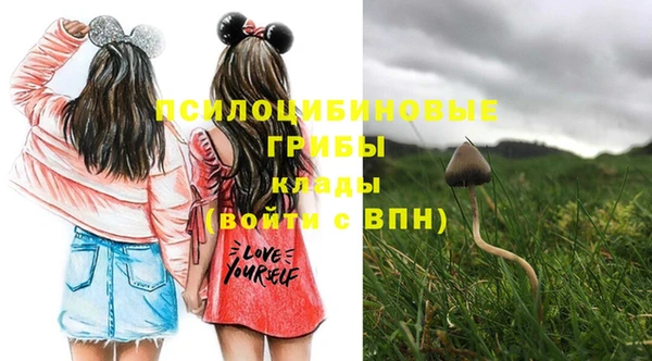 дмт Михайлов