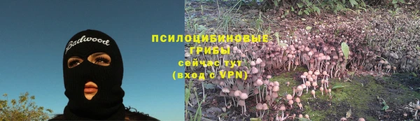 дмт Михайлов