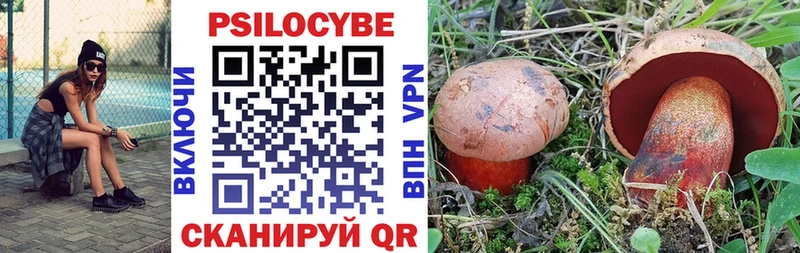 Псилоцибиновые грибы мицелий  купить наркотики сайты  Минусинск 