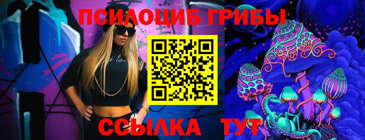 Псилоцибиновые грибы Psilocybine cubensis Минусинск