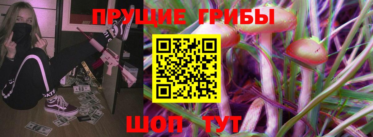 Псилоцибиновые грибы Psilocybe Минусинск