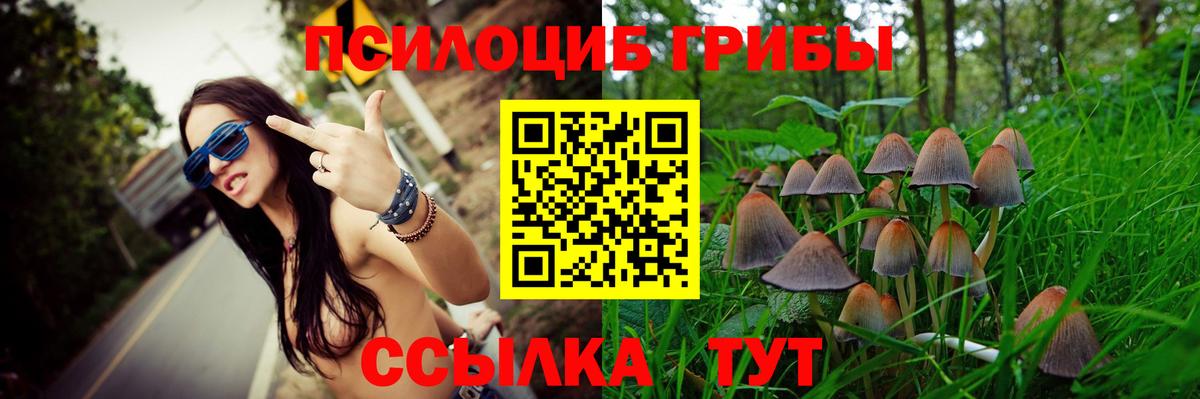 Минусинск  Псилоцибиновые грибы MAGIC MUSHROOMS  Псилоцибиновые грибы MAGIC MUSHROOMS  Вход с VPN 